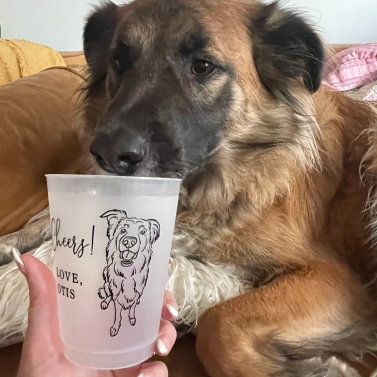 10/50 Custom Dog Cat Pet Portr - огляд і ціна Plastic Cup 50Pcs